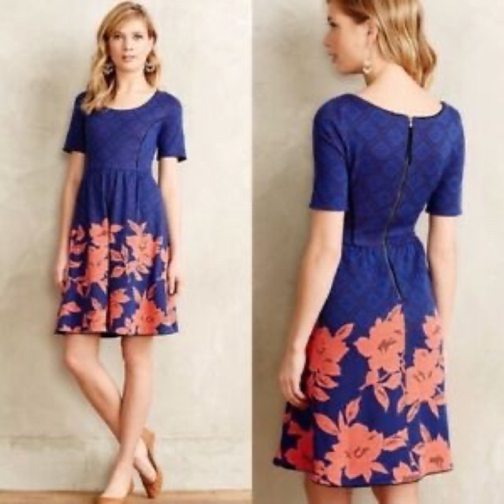 ANTHROPOLOGIE HD in Paris Blushed Blooms Dress